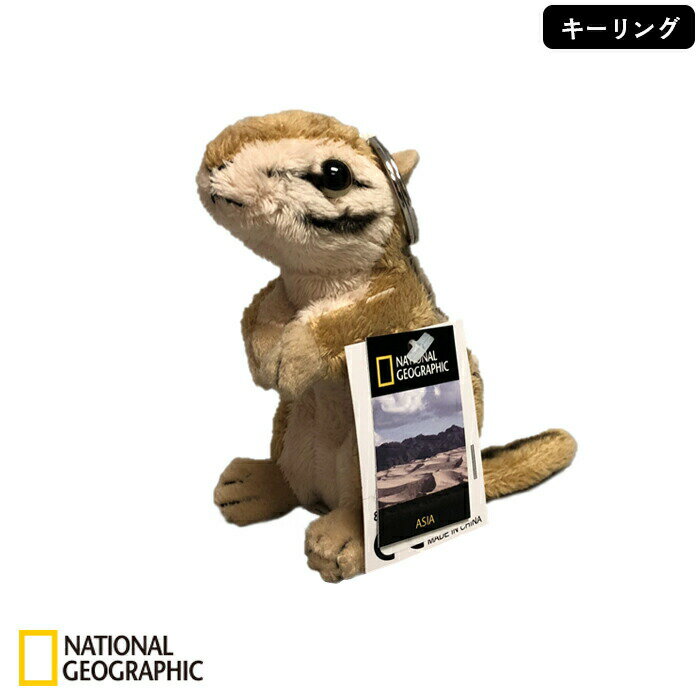 NATIONAL GEOGRAPHIC キーリン...の商品画像