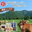 【メーカー直送】蒜山ジャージー乳製品詰合せギフト 7種 バター チーズ ヨーグルト カマンベール ゴーダ スモーク 送料込 (北海道、沖縄除く) 岡山 ご当地 ...