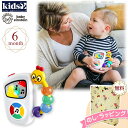 Kids2 Baby Einstein 30704 テイク・アロング・チューンズ キッズツー ベビーアインシュタイン 音楽 音がなる ハンドル付き 指先遊び 知育玩具 ベビートイ 室内遊び 車内 ベビー 6ヶ月 ギフト 出産祝い プレゼント お祝い 贈り物 ベビーカー用おもちゃ(3)