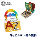 フラッシュカード アルファベット 英語 動物 勉強 絵本 お出かけ 赤ちゃん 0ヶ月 出産祝い 誕生日 クリスマス ベビーアインシュタイン Baby Einst...