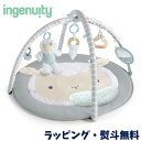 【22%OFFセール】ベビージム プレイジム プレイマット トイ お昼寝 赤ちゃん 0ヶ月 出産祝い 誕生日 クリスマス インジェニュイティ ingenuity...