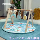 ベビージム シンプル ブルー 水色 プレイジム プレイマット トイ お昼寝 赤ちゃん 0ヶ月 出産祝い 誕生日 クリスマス インジェニュイティ ingenuit...
