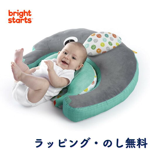 授乳クッション 授乳枕 授乳 クッション 枕 ベビーマット お昼寝マット おむつ替え 赤ちゃん 0ヶ月 出産祝い ギフト プレゼント クリスマス ブライトスターツ Bright Starts キッズツー Kids2 11392 F4 授乳クッション 授乳枕 授乳 クッション 枕 ベビーマット お昼寝マット おむつ替え 赤ちゃん 0ヶ月 出産祝い ギフト プレゼント クリスマス ブライトスターツ Bright Starts キッズツー Kids2 11392 F4