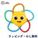 歯固め ヒトデ おしゃぶり おもちゃ 歯がため 便利グッズ 赤ちゃん 0ヶ月 出産祝い 誕生日 クリスマス ベビーアインシュタイン Baby Einstein ...