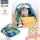 【キャンペーン商品】Kids2 Baby Einstein 11287 ジャーニーオブディスカバリー・アクティビティジム キッズツー ベビーアインシュタイン ベビージム ベビーマット おもちゃ 男の子 女の子 プレイジム 赤ちゃん 0ヶ月 知育 出産祝い ギフト プレゼント 贈り物