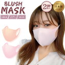 【2枚入】日本製 血色 マスク チークマスク 洗える 血色マスク 抗菌 ブラッシュマスク 国産マスク cheek mask 小さいサイズ 抗菌防臭 耳が痛くならない 小さめ 試験済み サイズ S M 子供 女性 レディース カラーマスク 大人 子ども かわいい おしゃれ