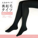【1000円ポッキリ 送料無料】タイツ 大きいサイズ 裏起毛 3L 4L 160デニール 厚手 あたたかい 銀イオン加工 防寒 冷え性 抗菌防臭加工 温かい 暖...