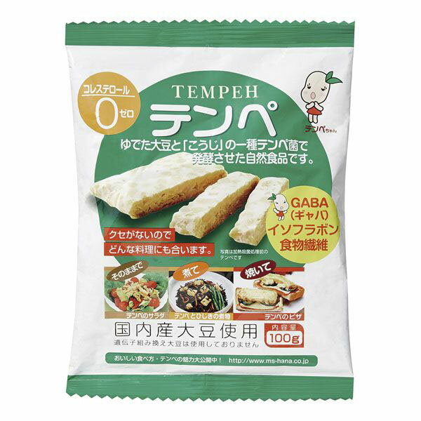 ★2個までなら全国一律送料300円(税込)★テンペ(レトルト) 100g マルシン食品