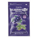 ★10個までなら全国一律送料300円(税込)★ 新ビルベリープラスメグスリノキ 18g(150mg×120粒) プロスペリティ