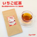 いちご紅茶2g×10P フルーツ紅茶 フレーバー 紅茶 フルーツ フルーツティー いちご ストロベリーティー ティーバッグ 美味しい 砂糖不使用