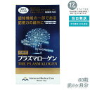 高純度プラズマローゲン (60粒入)(約1ヶ月分) 機能性表示食品 賞味期限2026.02 プラズマローゲン DHA EPA 健康サプリ 記憶力 認知機能 機能...