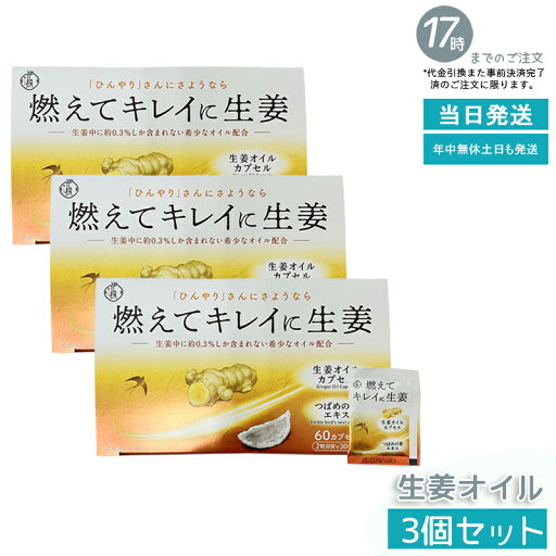 【3個セット】伊段 燃えてキレイに生姜オイル 温活(405mg×60カプセル) 賞味期限:2025年11月 【3個セット】伊段 燃えてキレイに生姜オイル 温活(405mg×60カプセル) 賞味期限:2025年11月