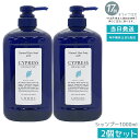 【2個セット】ルベル ナチュラル ヘア ソープ ウィズ CYd 1000ml
