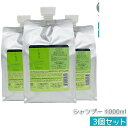 【3個セット】ルベル IAU イオリコミント クレンジング icy 1000ml