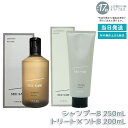 【ヘアケア2点セット】ルベル シーソー ヘア&スキャルプシャンプーバランス B 250ml&ヘアトリートメント バランス B 200ml LEBEL SEE/S...