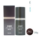 ルアン SMHメンズヘアファンデーション 20g No.2ダークブラウン 白髪カバー ルアン smh ヘア ファンデーション ヘアファンデーション ヘアパウダー 白髪隠し 薄毛対策 白髪対策 ランキング おすすめ