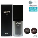 ルアン スーパーミリオンヘアーEX 20g No.1 ブラック No.2ダークブラウン 男女兼用 薄毛隠し 白髪隠し 女性用 薄毛 白髪 頭皮 分け目 生え際