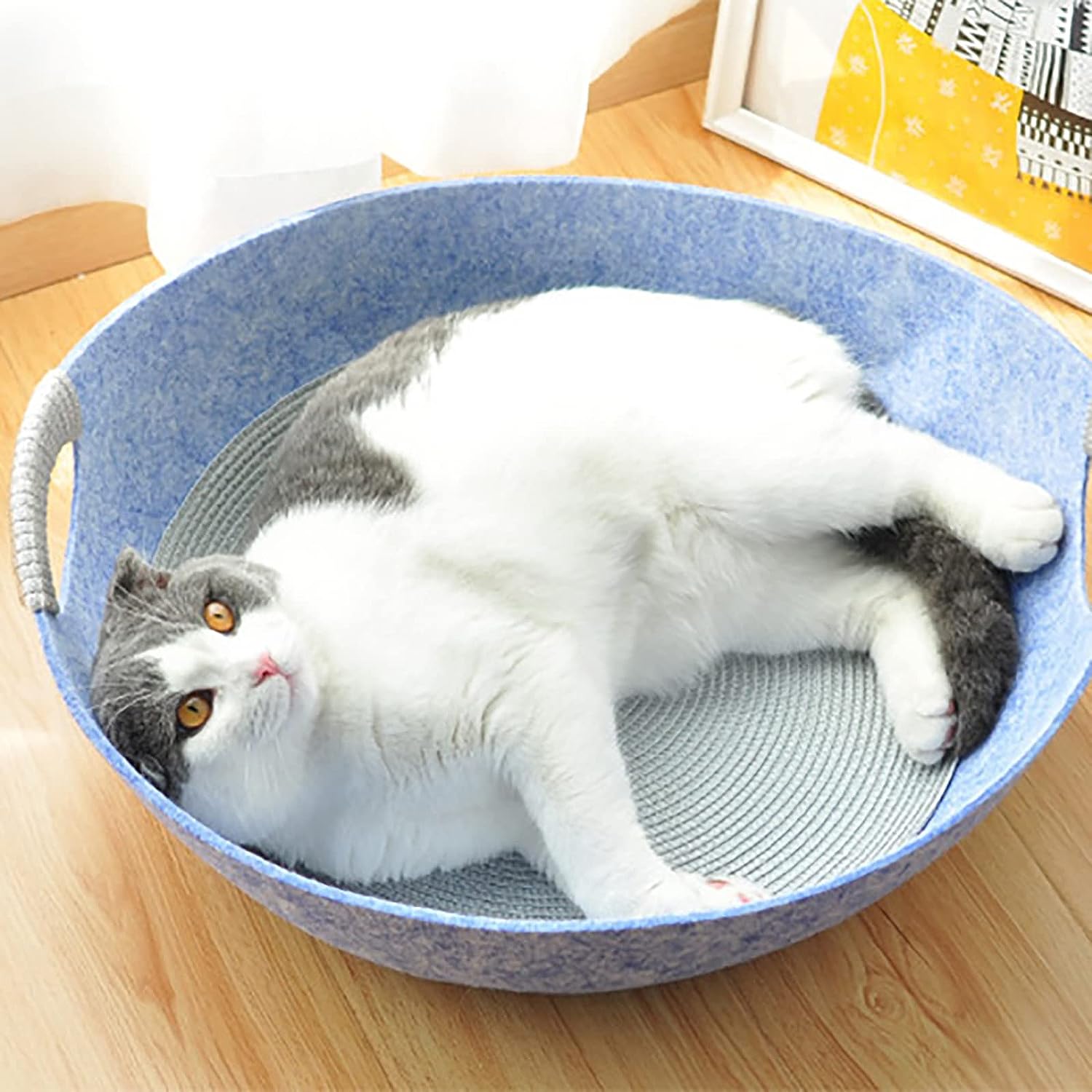8.jpg 8.jpg