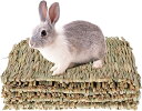 2IN1 2WAY使い方 4点セット チモシーマット うさぎの座ぶとん 草の編み物 無添加無着色 天然素材 100%天然芝 手織り 爪を保護 小動物用歯ぎしりお...