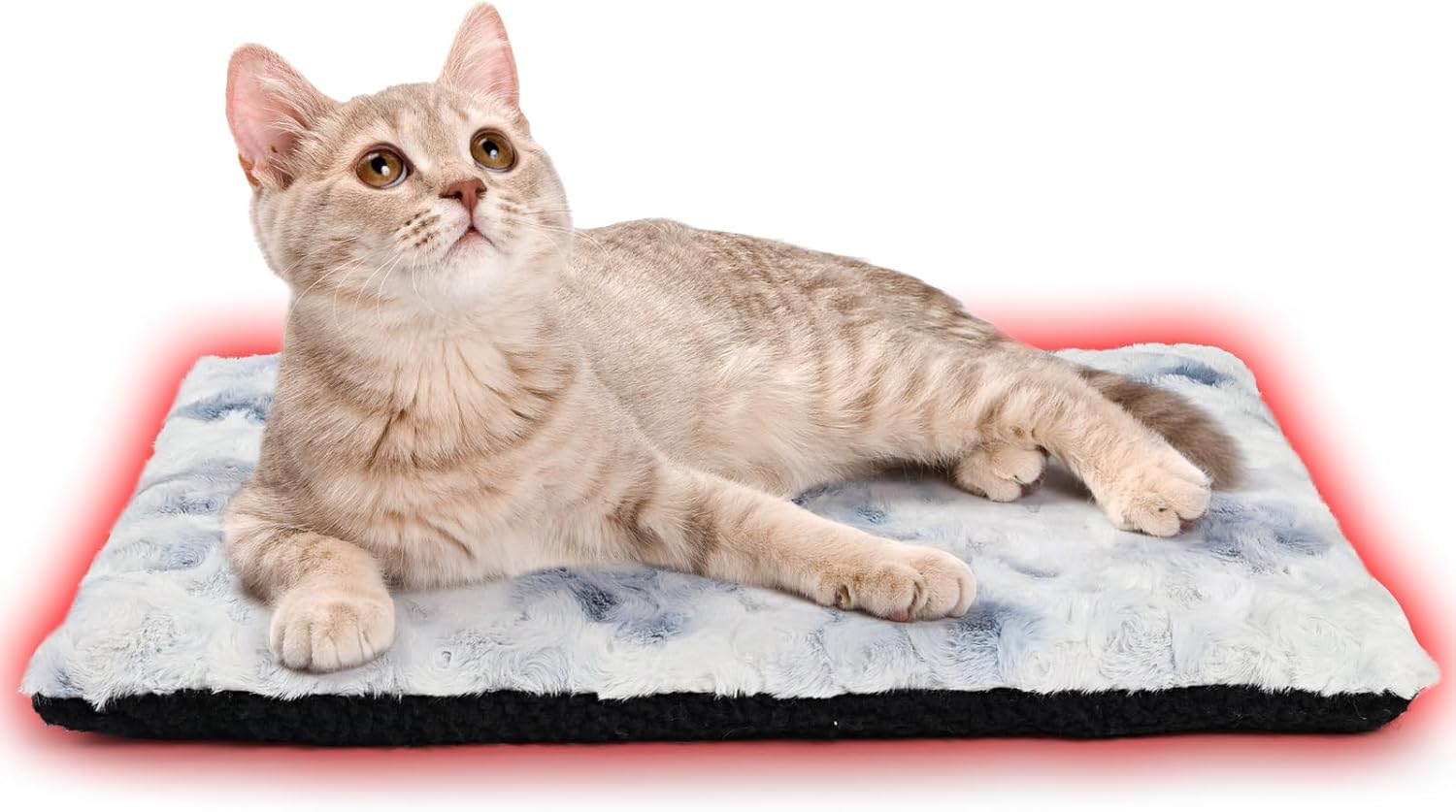 ペット用ホットマット 猫毛布 55*40cm ペット用ブランケット冬 発熱 電気不用 花柄 物理的保温 犬ベッ..