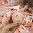 スクイーズおもちゃ シバコ 犬 柴犬 卵 たまご エッグドッグ フィジェット ストレス解消 握る 知育玩具動物 景品 おもしろ 誕生日 プレゼント (4個入り/5個入り/6個入り/8個入り)