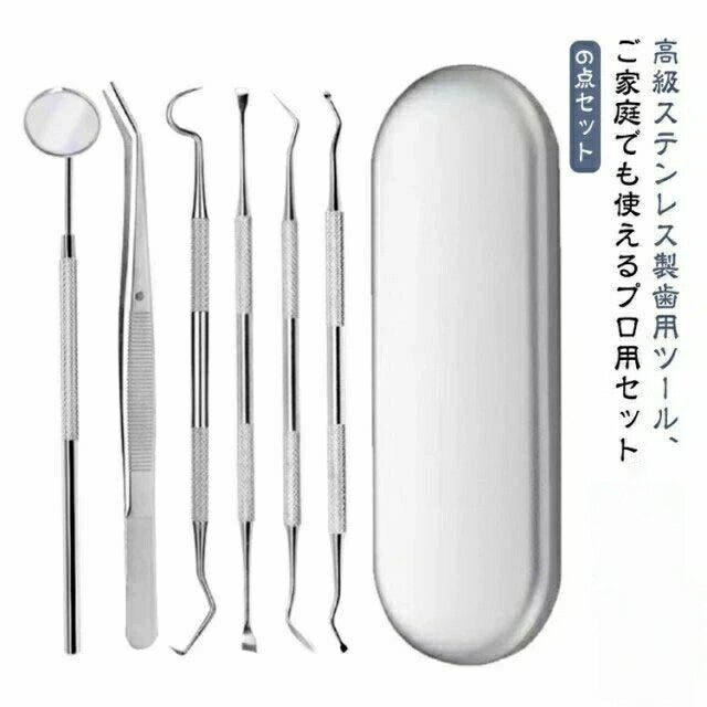 歯石取り 歯石とり 器具 自宅用 自分で取る スケーラー 歯垢 ヤニとり ステンレス製 先極細 デンタルツール 歯石除去 プロ仕様 口腔ケア器具 虫歯 歯科ツールセット 6点セット 口腔清潔