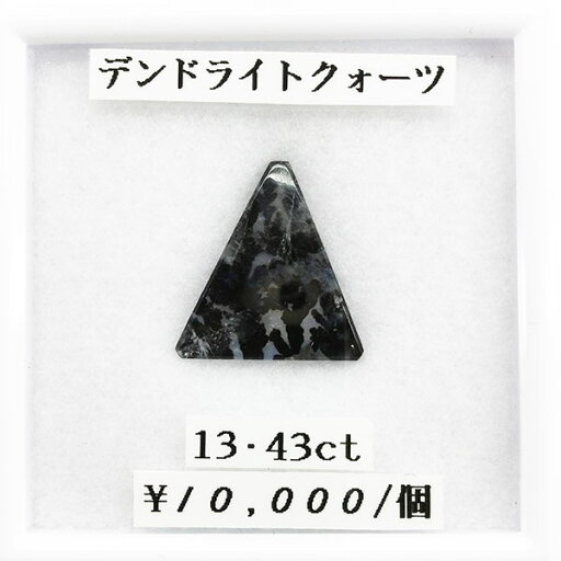 デンドライトクォーツ 13.43ct 天然 デンドリティック クォーツ ルース 裸石 カット石 宝石 ジュエリー デンドライトクォーツ 13.43ct 天然 デンドリティック クォーツ ルース 裸石 カット石 宝石 ジュエリー