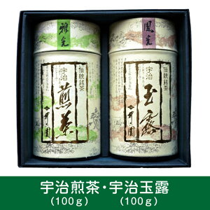 玉露 (鳳光/100g) 煎茶 (雅光/100g) IRK-40 京都 老舗 京都茶の蔵 お茶 日本茶 茶葉 ギフト お土産　手土産 贈答用 プレゼント 粗供養　仏事 ご進物 お歳暮　お中元　宇治茶