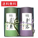 名品シリーズ　宇治玉露〈鳳光/130g〉宇治煎茶〈雅光/130g〉YG-50 送料無料　京都 老舗 京都茶の蔵 お茶 日本茶 茶葉 ギフト お土産 手土産 贈答用 プレゼント 粗供養　仏事 ご進物 井六園 内祝 お中元 お歳暮 宇治茶 母の日 敬老の日