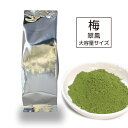 【大容量/ 薄茶用】 抹茶（お徳用 100g） ： 梅（翠鳳）/　受注生産（お届け：1週間程） 京都 老舗 京都茶の蔵 自宅用 お得用 大容量　宇治抹茶