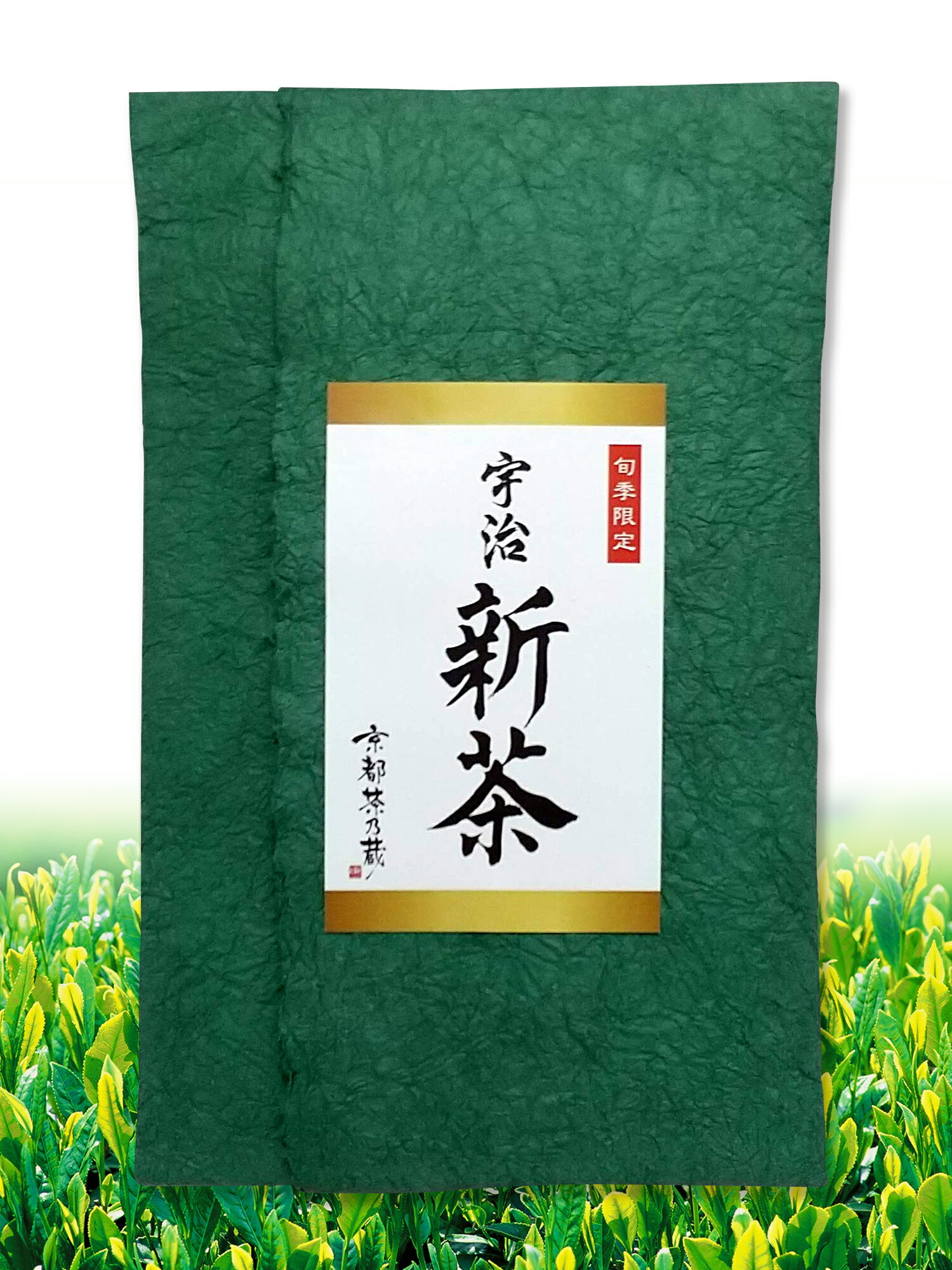 【2024新茶】宇治煎茶 (100g袋入) E-30 京都茶乃蔵