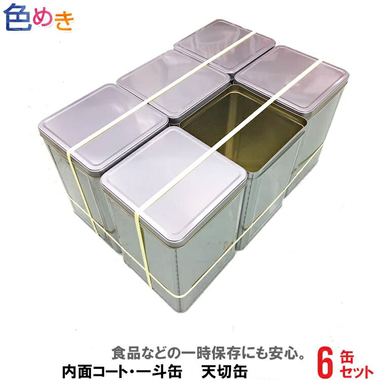 【内面コート天切缶】1斗缶 内面コート缶 天切缶 / 空缶 18L缶 1セット(6缶) 食品 いっとかん 一斗 いっと