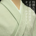 色無地 紋意匠 正倉院葡萄唐草文 オパールグリーン【反物1反・胴裏1枚・共色八掛1枚のセット】