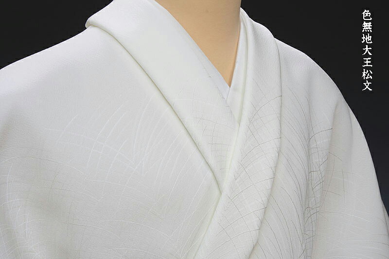 色無地紋意匠付下げ柄大王松文誂え染