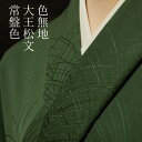 色無地 紋意匠 付下げ柄 大王松文 常盤色【反物1反・胴裏1枚・共色八掛1枚セット】着物 色無地 正絹 反物 袷 単衣 地紋 茶道 茶席 学校行事 七五三 礼装...