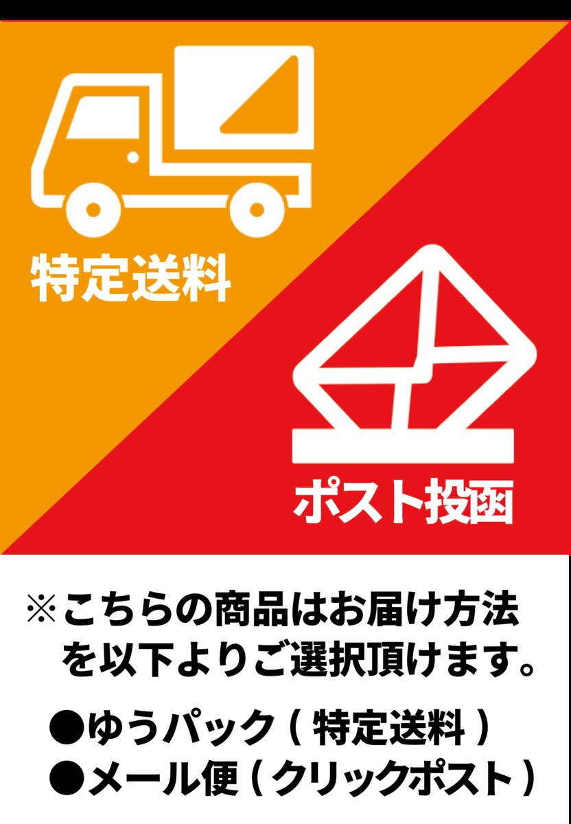 紙飛行機 飛行機 紙ヒコーキ 折り紙単色 シルバー ジュピター 折り図付き 【シルバー用紙3枚入（ジュピター折り図付）】 3