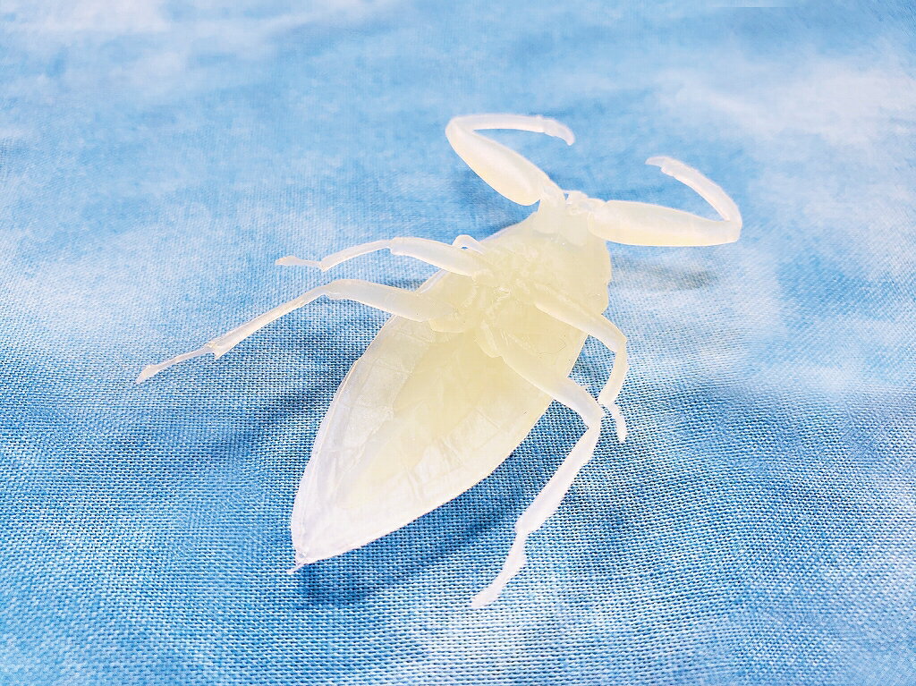 ������ ���� �� �ꥢ�� ������ ��ͳ���� �Ƶ٤� ���� ���⤷�����å� ���ä����� �ɤ골 ���Ǵ����� �ե����奢 ����ƥꥢ ��ʪ �ǥ���