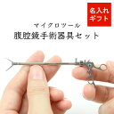 ミニチュア インテリア プレゼント ギフト 贈り物 記念 お祝い 入学 卒業 就職 昇進 名入れ 雑貨 ネームプレート 医師 医療 アクセサリー ピンズ コレク...