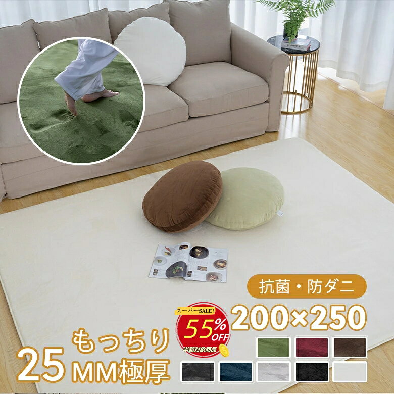 【楽天スーパーSALE 55％OFF】ラグ 低反発 もっちり 25mm 極厚 200×250 3畳 遮音 カーペット ラグマット ふんわり 滑り止め付 抗菌防臭 防ダニ 防音 フランネル ボリューム オールシーズン ペット 足音 おしゃれ かわいい 厚手 北欧 掃除簡単 床暖房に対応