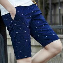 【オープン記念!5%OFFクーポン・11/1まで】ショートパンツ メンズ ハーフパンツ 短パン 5分丈 スポーツ ビーチパンツ ボトムス おしゃれ 無地 春夏 送料無料 2type 半ズボン カジュアル