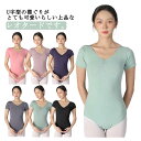 【オープン記念!5%OFFクーポン・10/24まで】バレエ レオタード 大人 スカートなし レディース 練習用 バレエ ダンス ウェア 競技ダンス 社交ダンス レオタード バレエ用品 ダンス 衣装 女性 練習着 ストレッチ 伸縮 発表会 大きいサイズ 無地 シンプル パット付き