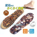 【オープン記念!5%OFFクーポン・12/1まで】マッサージインソール 父の日 プレゼント 健康グッズ 足裏マッサージ 足ツボグッズ 効果 痛い おすすめ つぼ押し 疲労軽減 男女兼用