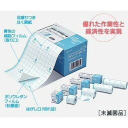 カテリープFSロール No.0510 50mm×10m 1巻入 ニチバン