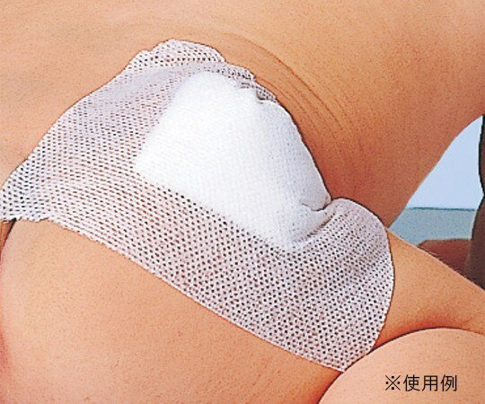 イルコレ　楽天市場店のアルケア シルキーポア・E（粘着性伸縮ガーゼ包帯） 13884 10号 3巻｜アングル2