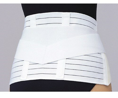 マックスベルト R2 321200/321201/321203/321304/321305/321306 SS〜4L シグマックス 8-8817-01/02/03/04/05/06/07