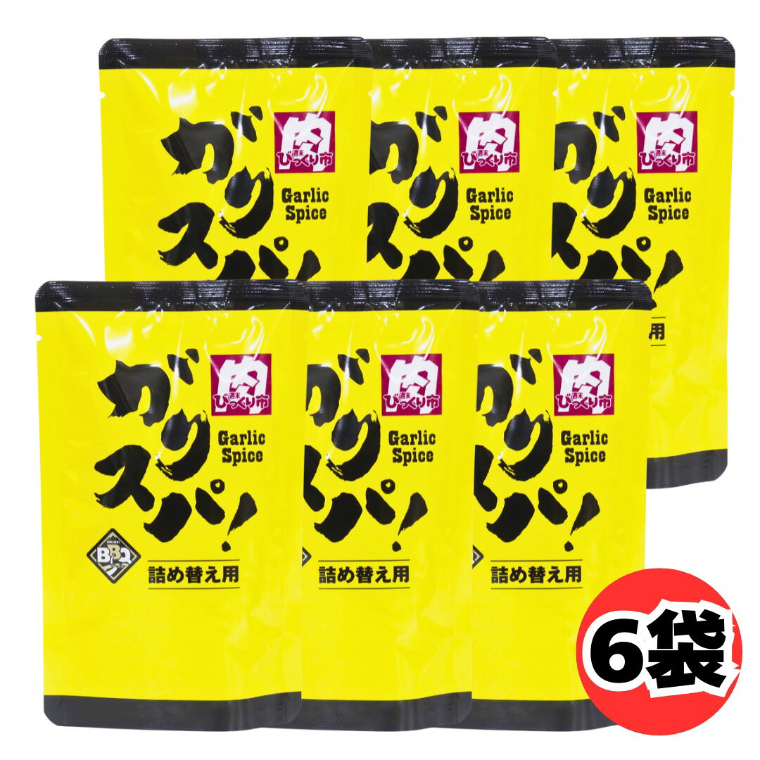 ガリスパ！ 詰め替え用 100g 6袋 セット ガーリックスパイス スパイス調味料 焼肉 BBQ ステーキ 牛肉 はらみ さがり 肉料理