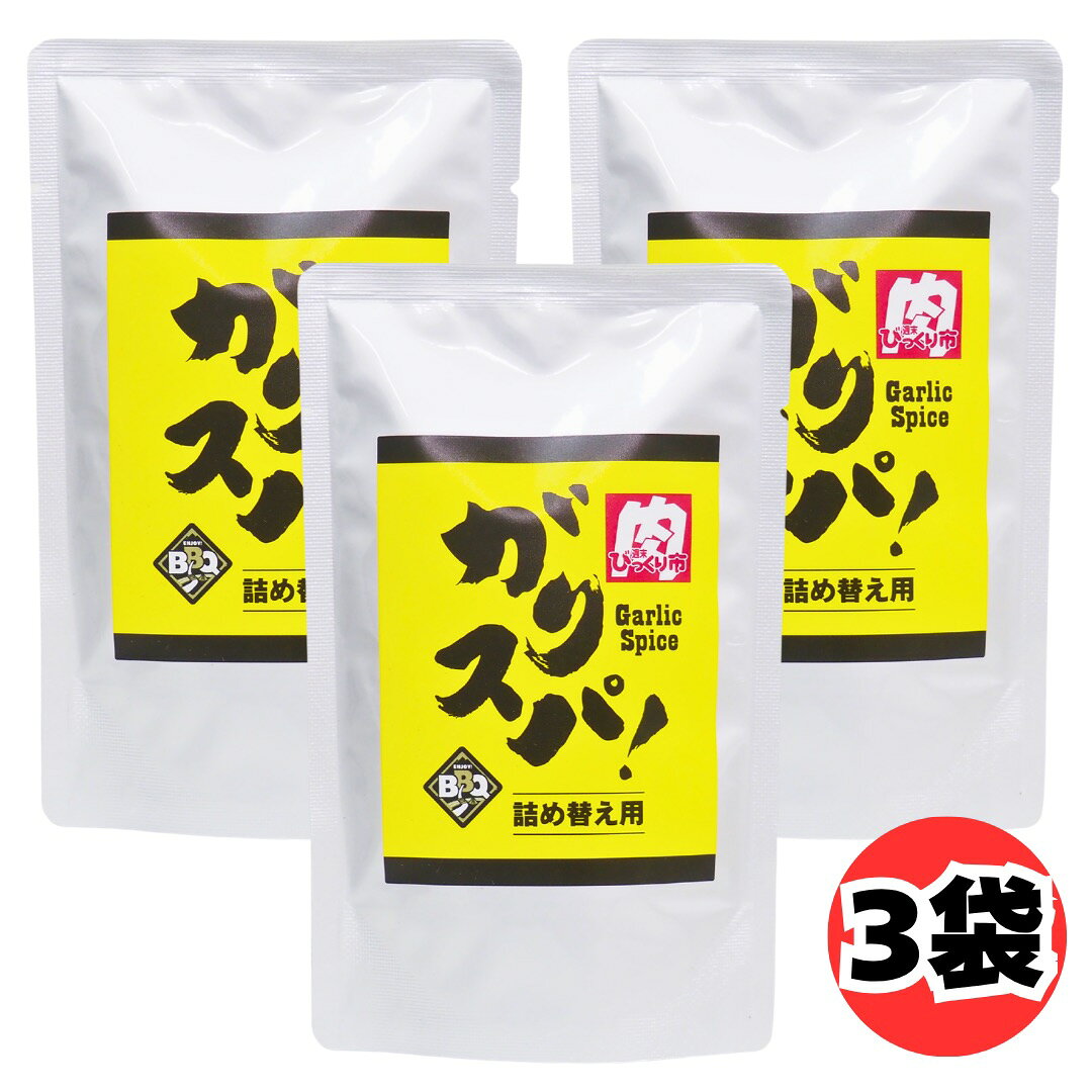 ガリスパ！ 詰め替え用 100g 3袋 セット ガーリックスパイス スパイス調味料 焼肉 BBQ ステーキ 牛肉 はらみ さがり 肉料理