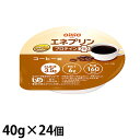 日清オイリオ エネプリン プロテインプラス コーヒー味 40g×24個 (賞味期限2026/07/08)