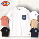  DICKIES Tシャツ ポケット付き コットン 綿 100% ワーク ストリート ブランド メンズ レディース ユニセックス ディッキーズTシャツ DickiesTシャツ 6カラー アウトドア キャンプ