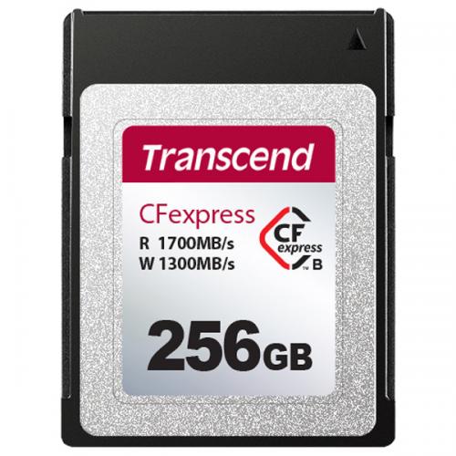 TS256GCFE820 [256GB]